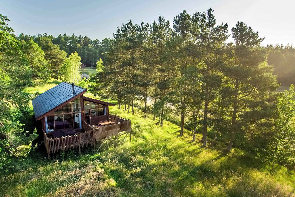 Uma cabana com varanda, rodeada por uma floresta densa.