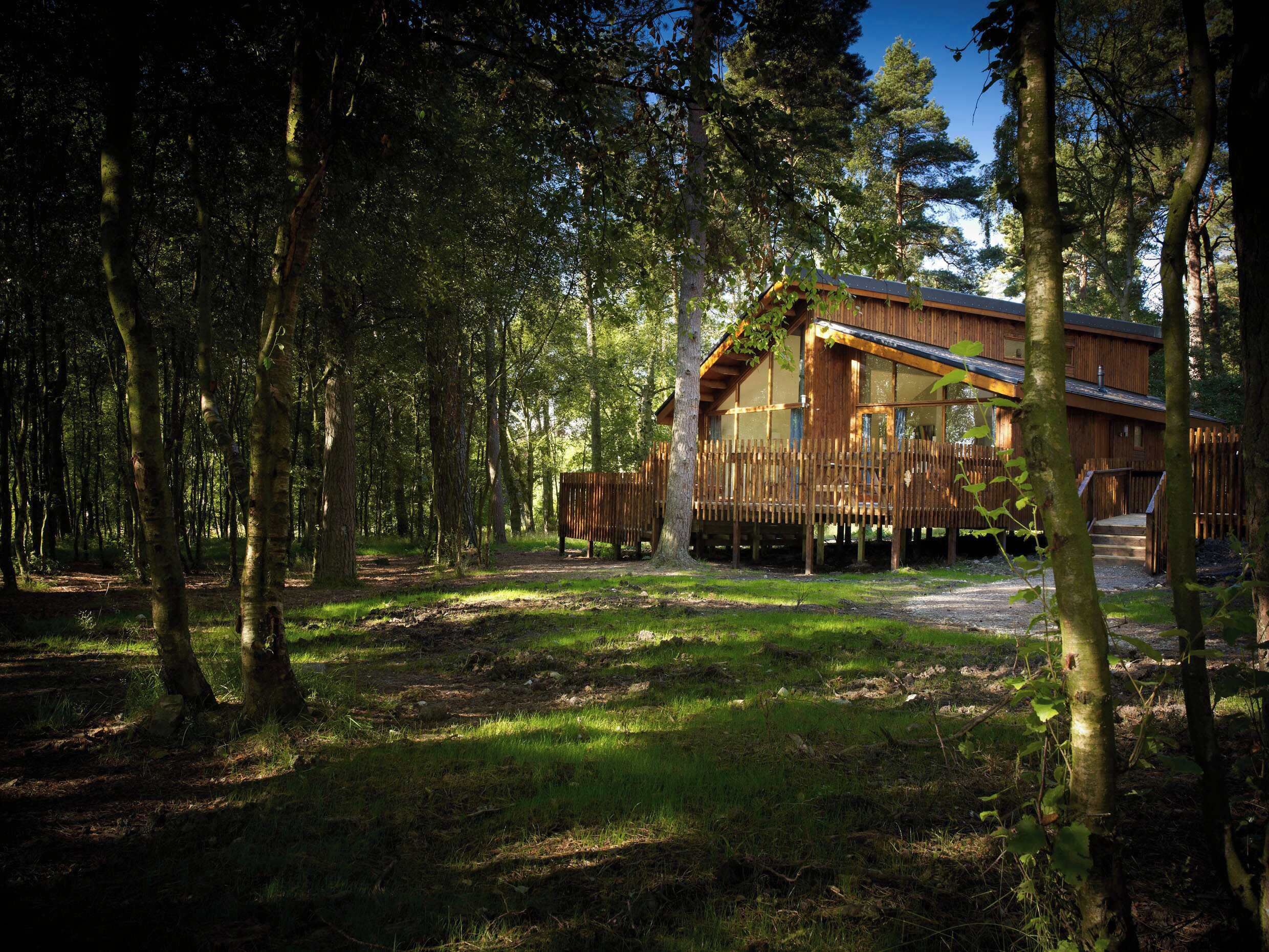 A wooden cabin in a forest with a deck and a covered porch.