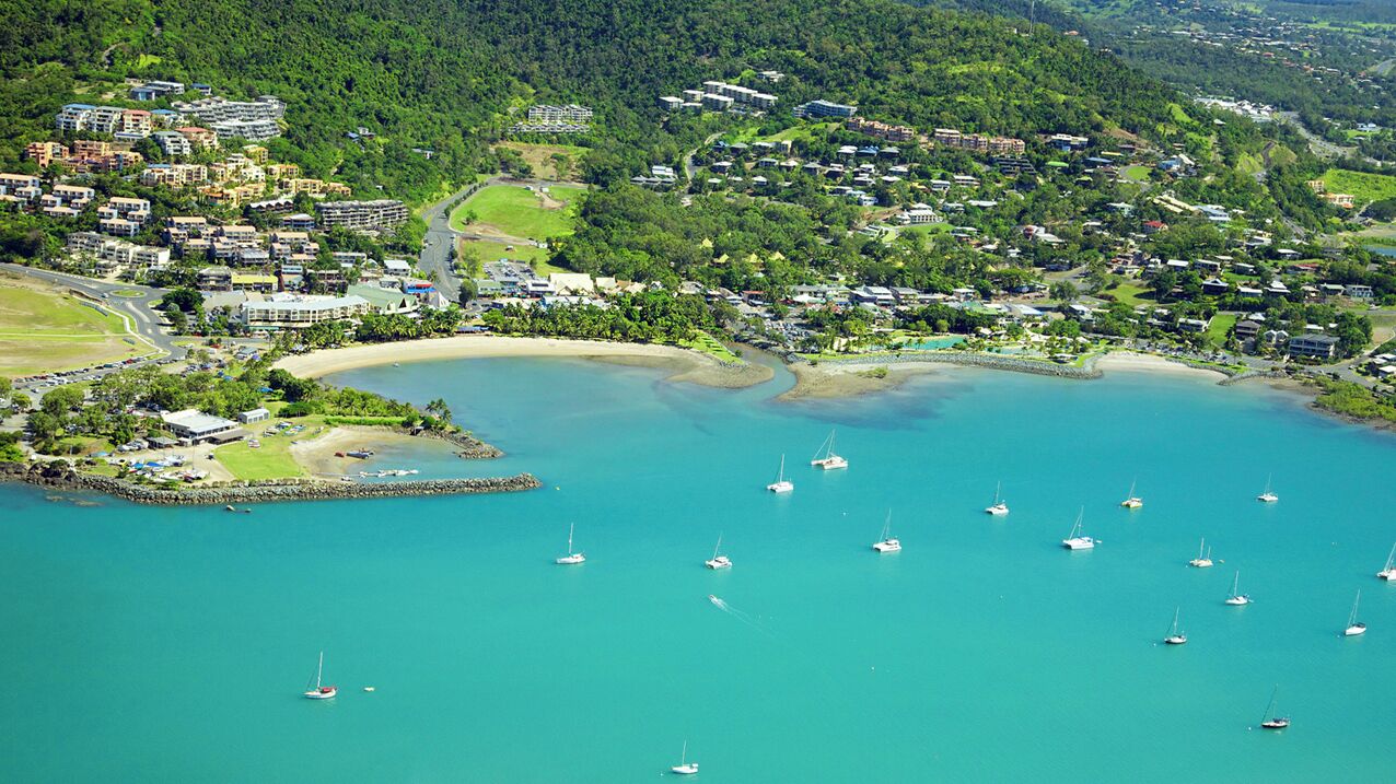 An aerial view of a coastal town with a marina, residential buildings, and lush greenery.
