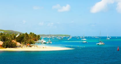 Caribbean Sun-Kissed Sailing: A Luxurious Beach Experience from Martinica, Le Marin