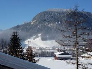 Miscellaneous - Chez-Nous Appartement/Fewo, Dusche oder Bad, WC 6-Bettwohnung by Interhome (Gstaad)