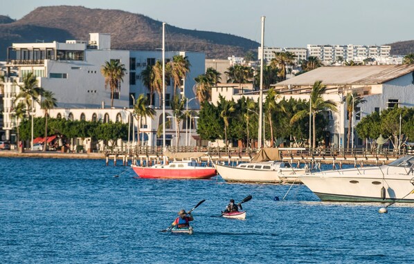 A marina with boats, a person kayaking, and buildings in the background.