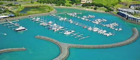 An aerial view of a marina with numerous boats docked, surrounded by greenery and residential buildings.
