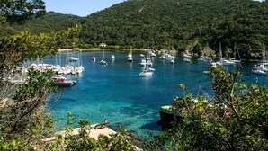 Ein Yachthafen mit Booten, klarem Wasser und einem bewaldeten Hügel im Hintergrund.