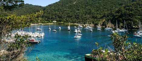 Marina con barcos, agua cristalina y una colina boscosa al fondo.