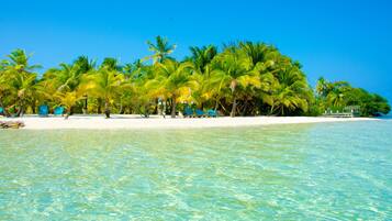 A beach with clear turquoise water, palm trees, and a white sandy shore.