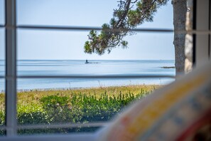 A view through a window with a tree and a distant boat on the water. - Le Petit Rivage - Proche de la plage (Sarzeau)