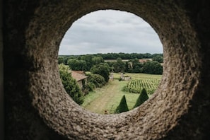 View from property - Château du Fraisse (Nouic)