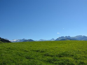 Ein grünes Feld mit Bergen in der Ferne unter klarem Himmel.
