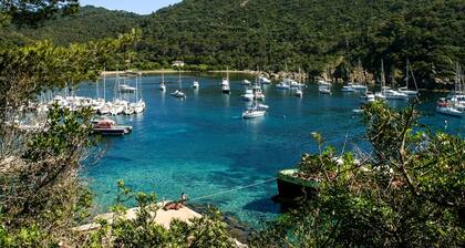 Sun-Kissed Sailing Adventure in Provence-Alpes-Côte d'Azur