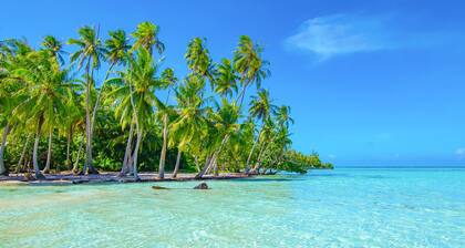 Sun-Kissed Sailing Adventure in Raiatea's Lagoon