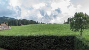 Ländliche Landschaft mit einem Holunderbarn, einer Hecke und einem Baum.