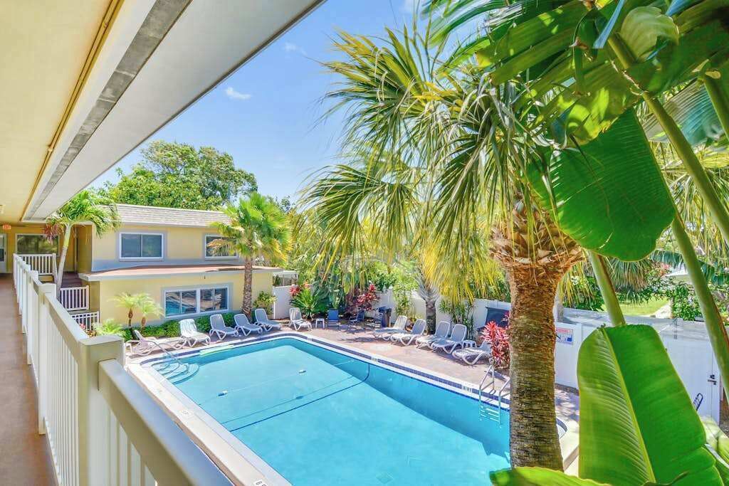 A pool with lounge chairs, a palm tree, and a building in the background.