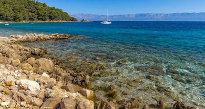 Sun-Kissed Sailing Adventure in Istria, Croatia