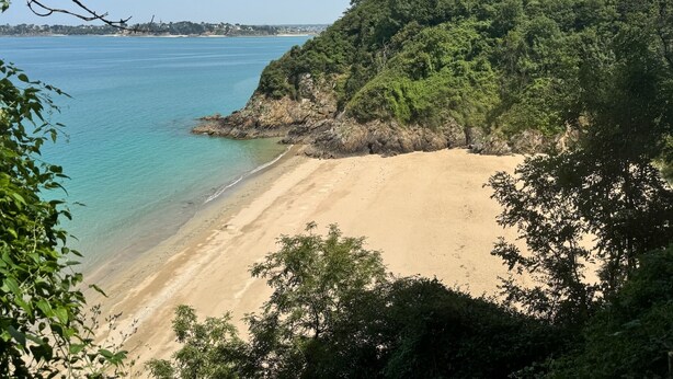 Uma praia com águas cristalinas, areal arenoso e vegetação densa.