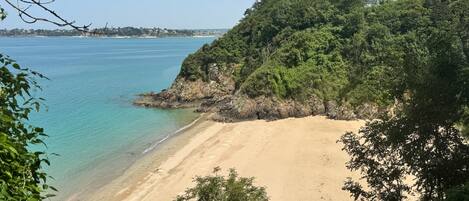 A beach with clear water, a sandy shore, and dense greenery.