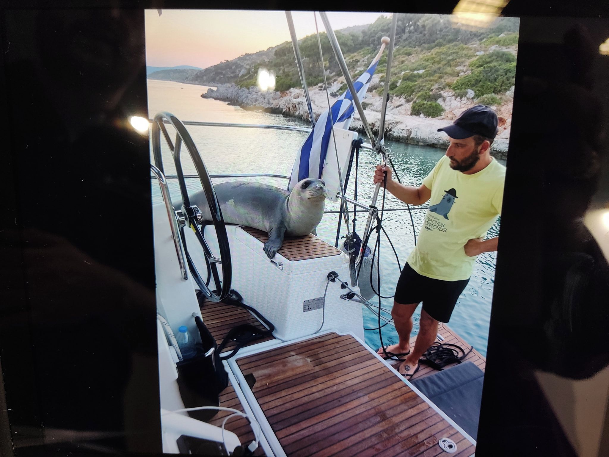 A person on a boat with a seal, a steering wheel, and a rocky coastline.