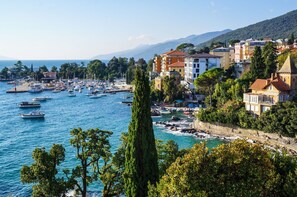A coastal town with a marina, buildings, and a prominent tree.