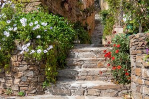 A stone staircase surrounded by greenery and flowers.