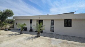 Un edificio moderno con techo plano, amplios ventanales y un patio empedrado con plantas en macetas.