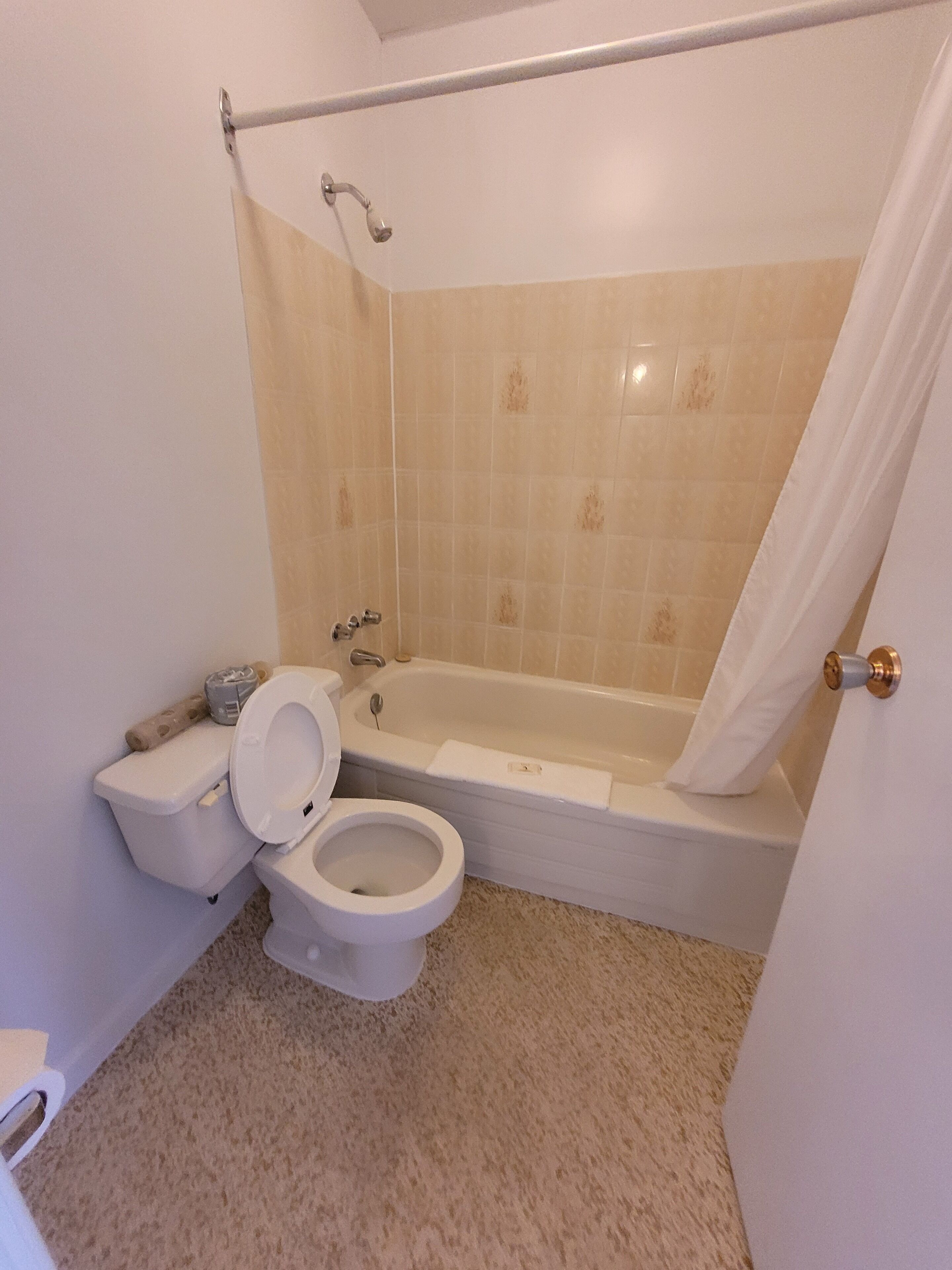Economy Single Room | Bathroom