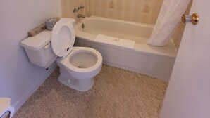 Un baño con inodoro, bañera y cortina de ducha.