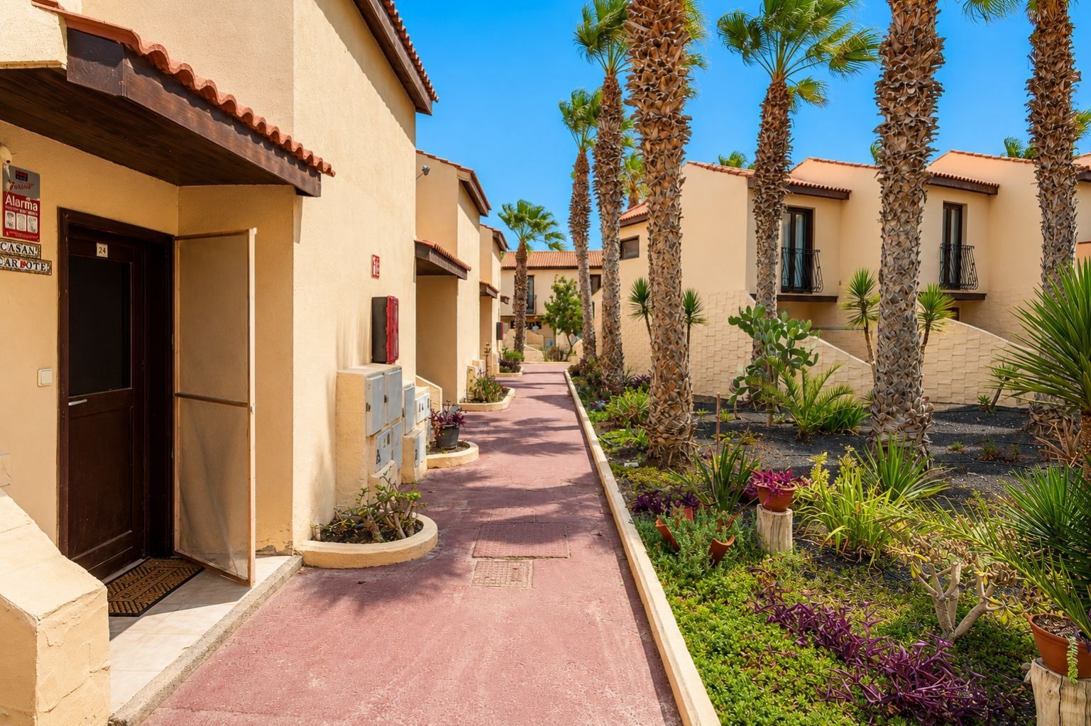 A corridor with palm trees and a red pathway leading to a building with a door marked 'CASAN'.