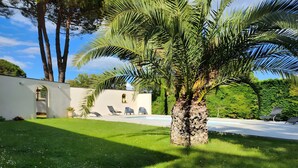 Un césped cuidado con una palmera, una zona de piscina con sillones de descanso y un edificio blanco con entrada en arco.