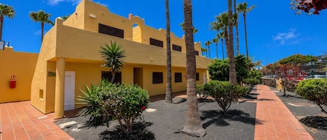 Un edificio amarillo con un sendero empedrado, palmeras y un cielo azul despejado.