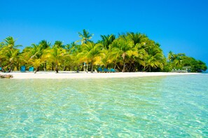 Uma praia com águas turquesa cristalinas, palmeiras e uma faixa de areia branca.