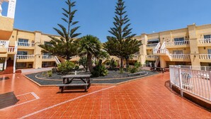 Un patio con piso de baldosas, una mesa de picnic y dos árboles altos.