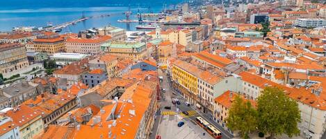 Tourist Destination