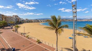 A beach with a paved walkway, palm trees, and a clear blue sky.