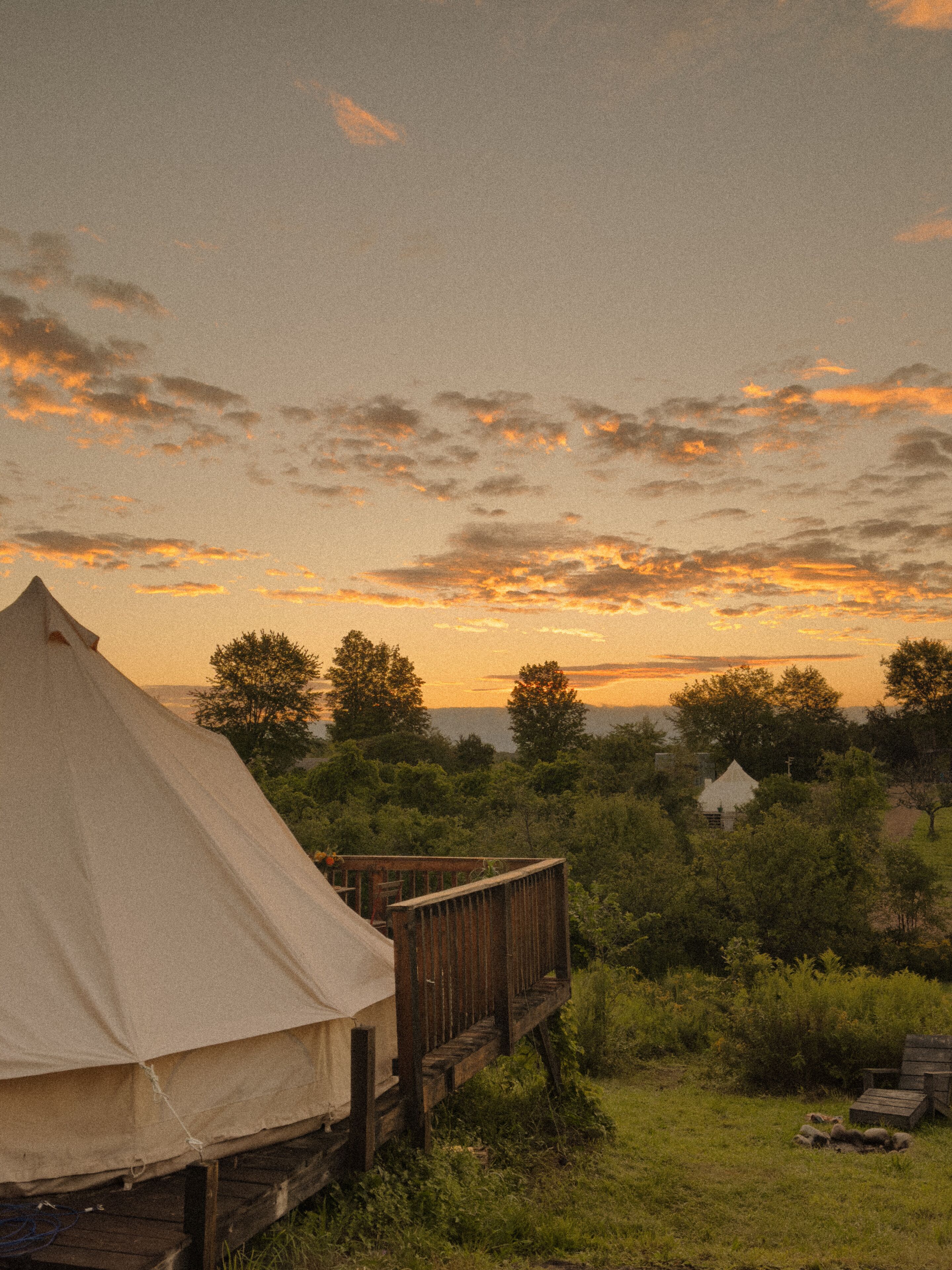 A tent with a wooden deck, surrounded by greenery and trees.