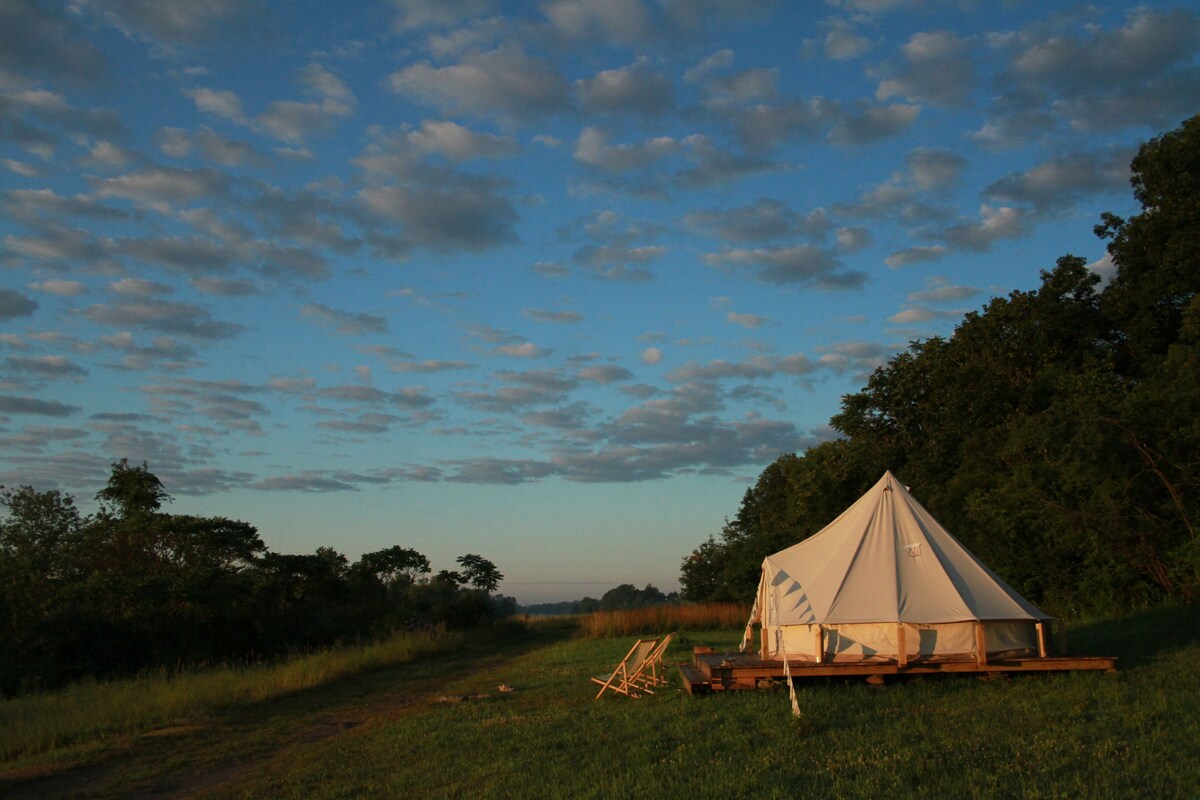 A tent in a grassy field with trees in the background.