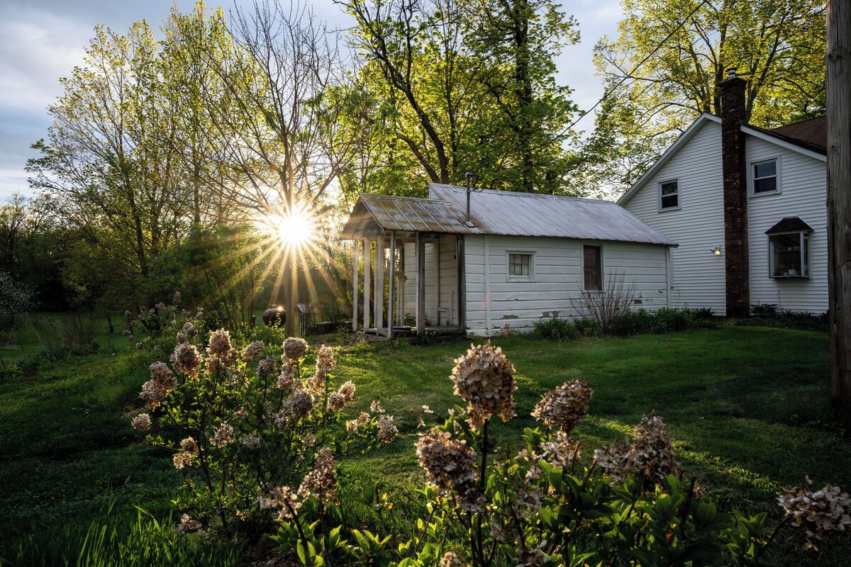 A white house with a porch, surrounded by greenery and flowering plants.