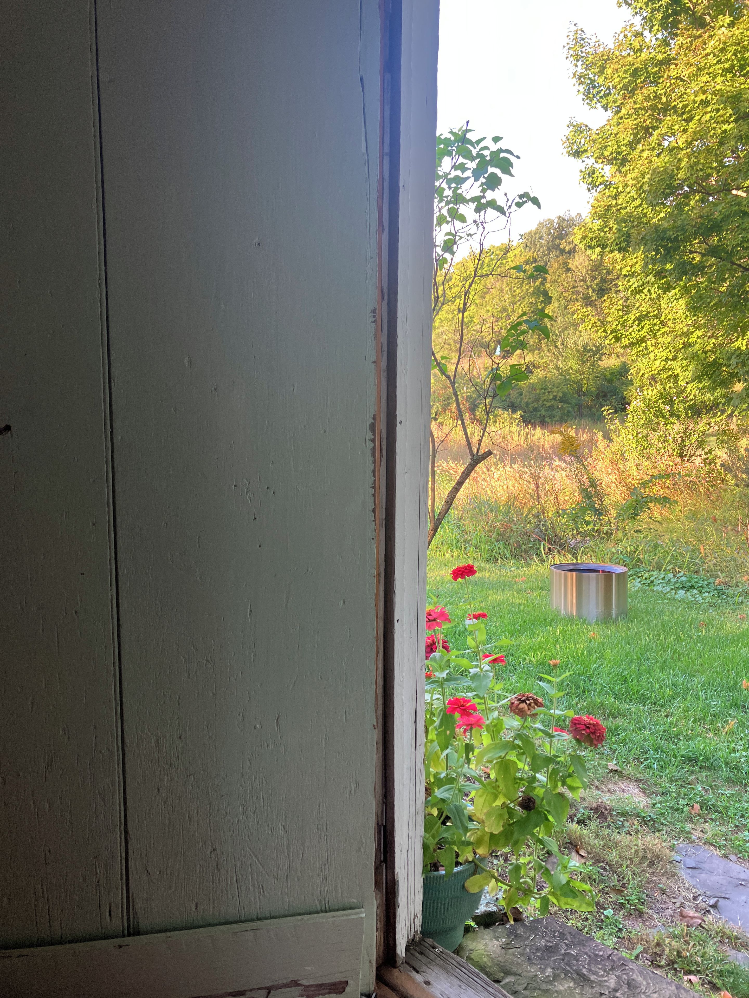 A view through a partially open door with a garden visible outside.
