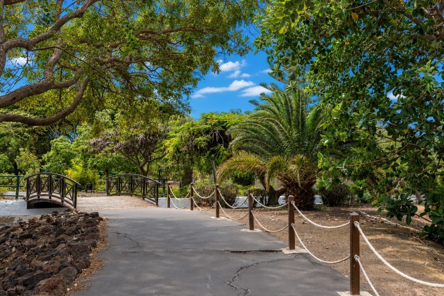 A paved pathway leading through a garden with a wooden bridge and palm trees.