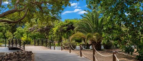 A paved pathway leading through a garden with a wooden bridge and palm trees.