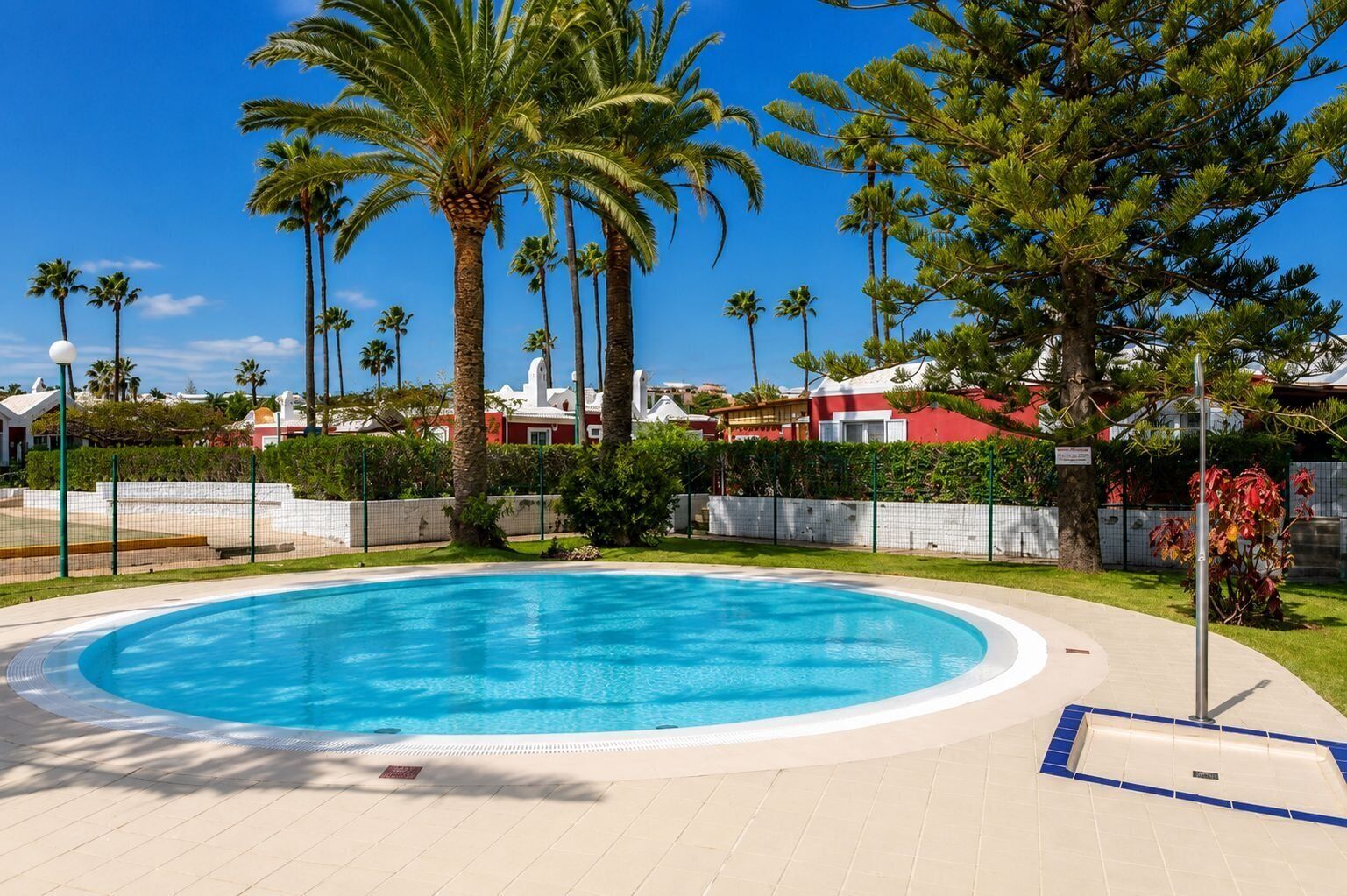 Una piscina de borde curvo, rodeada de palmeras y una valla.