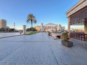 A paved plaza with a palm tree, a modern building with a glass facade, and a red railing. - GuestReady - Sunset Canteras Sea Views (Las Palmas de Gran Canaria)