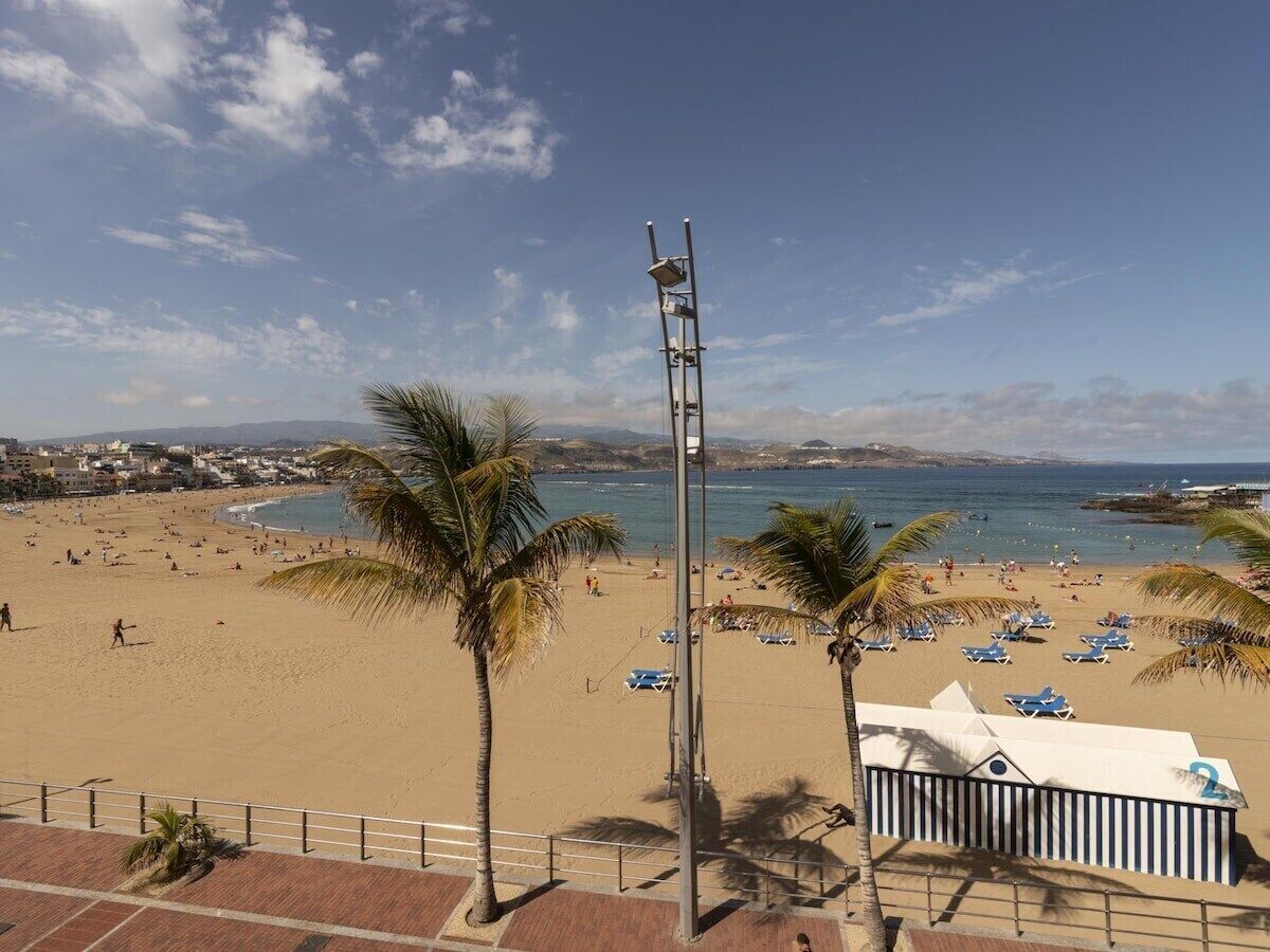 A beach with palm trees, a clear sky, and a view of the sea.