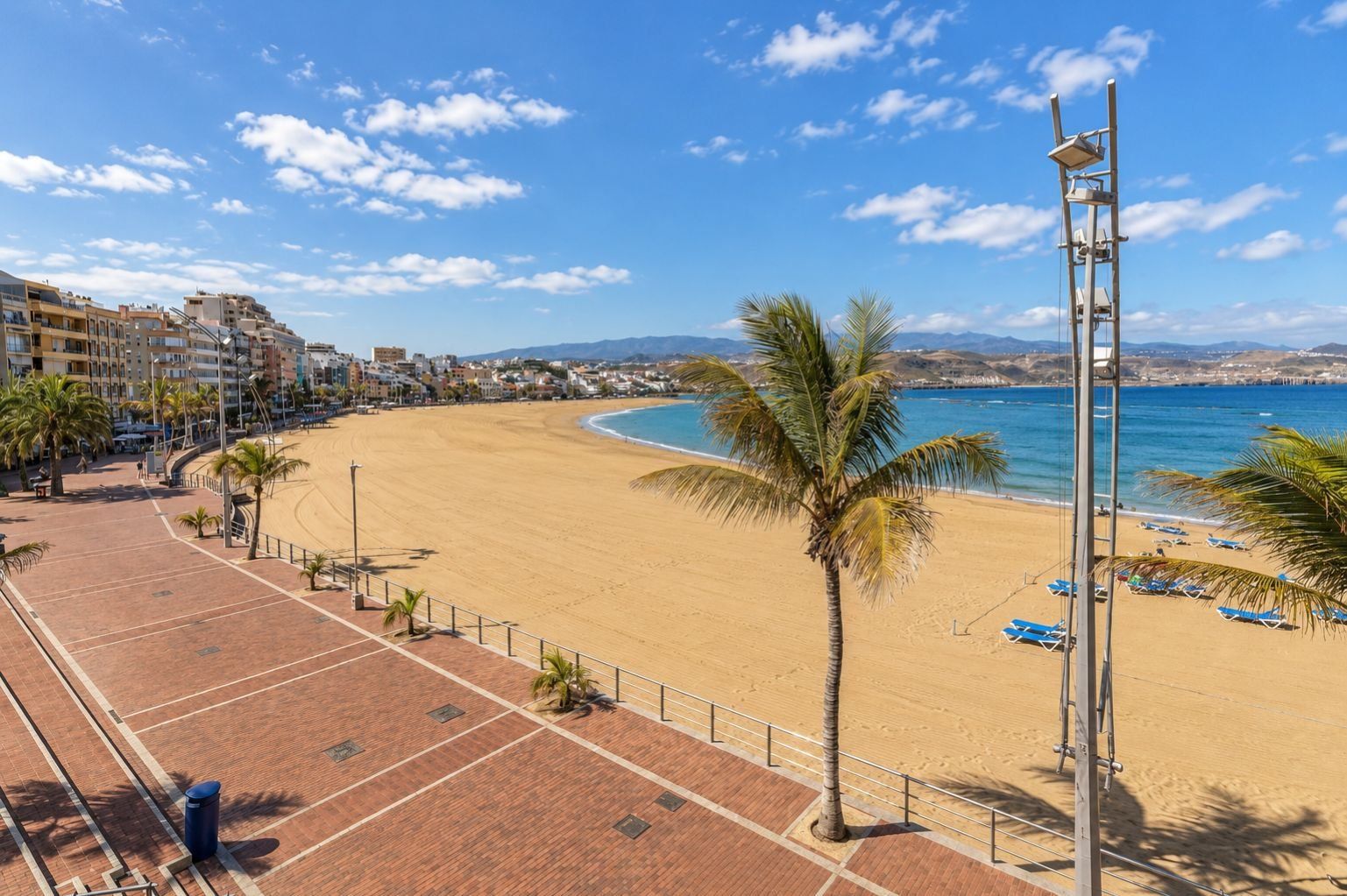 A beach with a paved walkway, palm trees, and a clear blue sky.