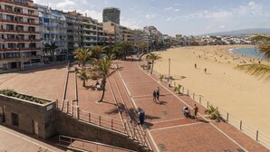 Eine Strandpromenade mit Pflasterweg, Palmen und Sandstrand.