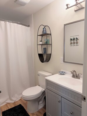 Shower, towels, soap, toilet paper - Tranquil 1-bedroom house in quiet residential neighborhood near the airport, (Charlotte)