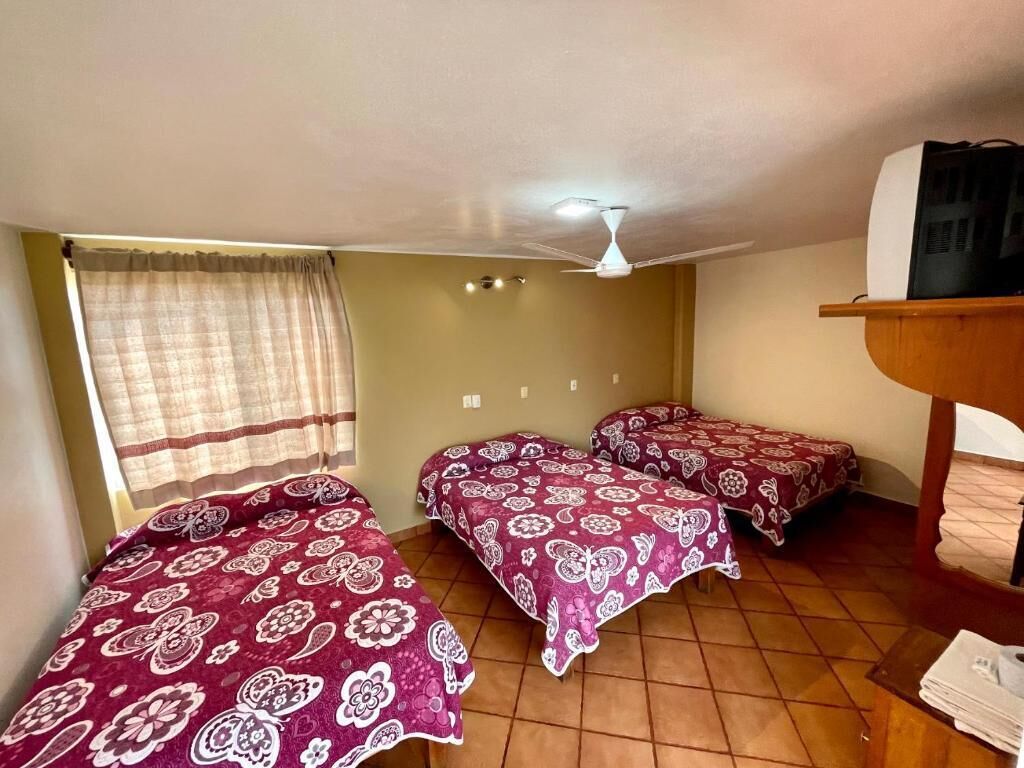 Kolmen hengen comfort-huone | Ilmainen Wi-Fi