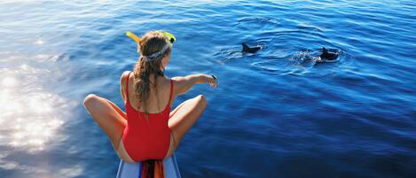 Una persona en traje de baño rojo en un barco, mirando al océano con delfines nadando cerca.