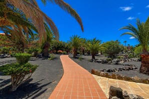A paved pathway flanked by palm trees and rocks, leading through a landscaped area. - GuestReady - Bright Retreat with Outdoor Pool (Corralejo)