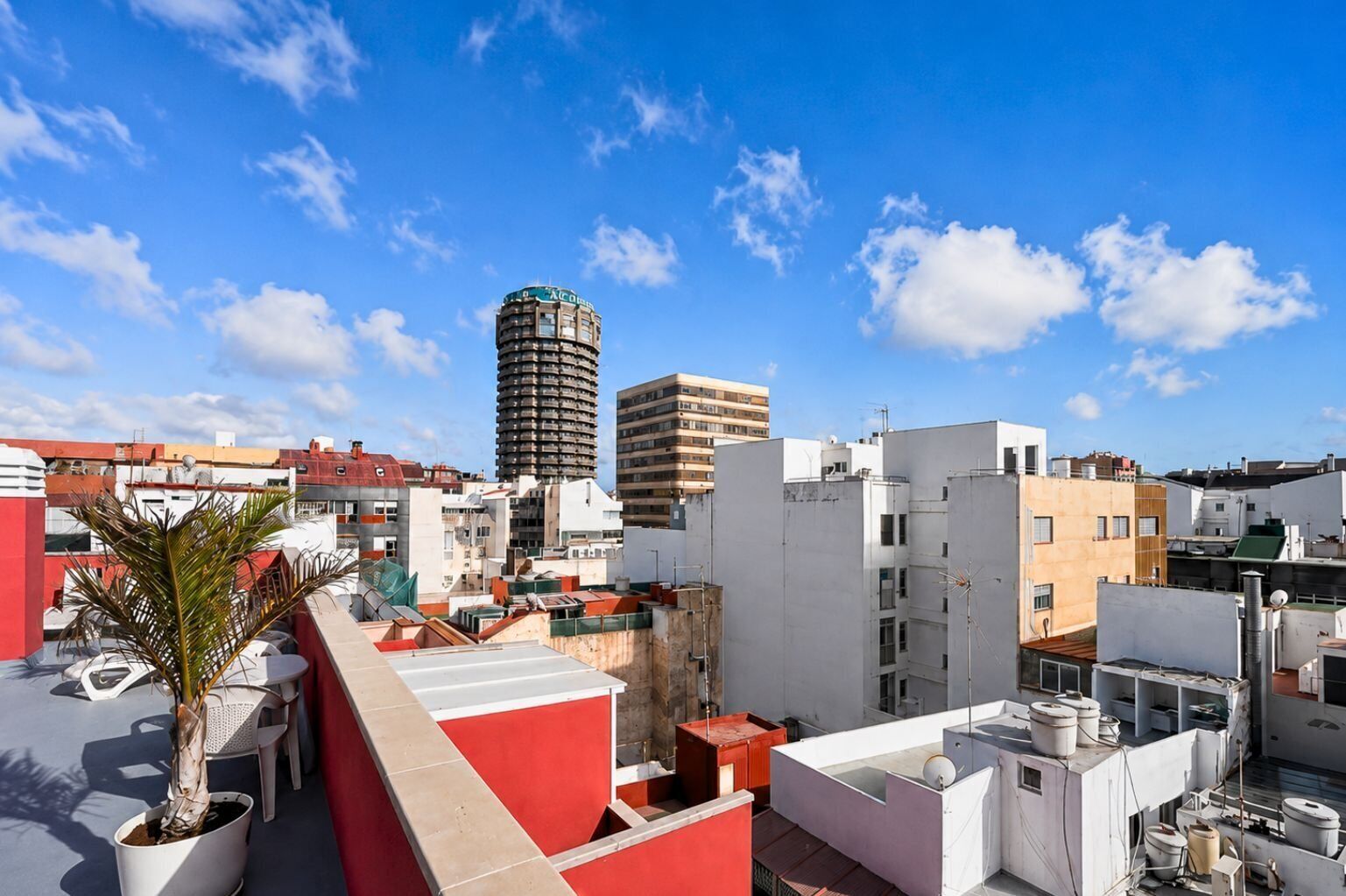 Terraza en la azotea con plantas en macetas, una palmera y vistas a un paisaje urbano que incluye un edificio alto.