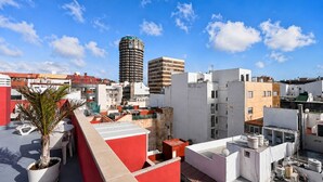 Una terrazza sul tetto con piante in vaso, una palma e vista sullo skyline cittadino, che include un grattacielo.